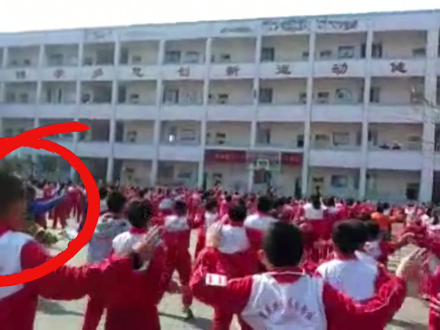 这都扒出来了网友晒杨瀚森小学跳课间操黑历史