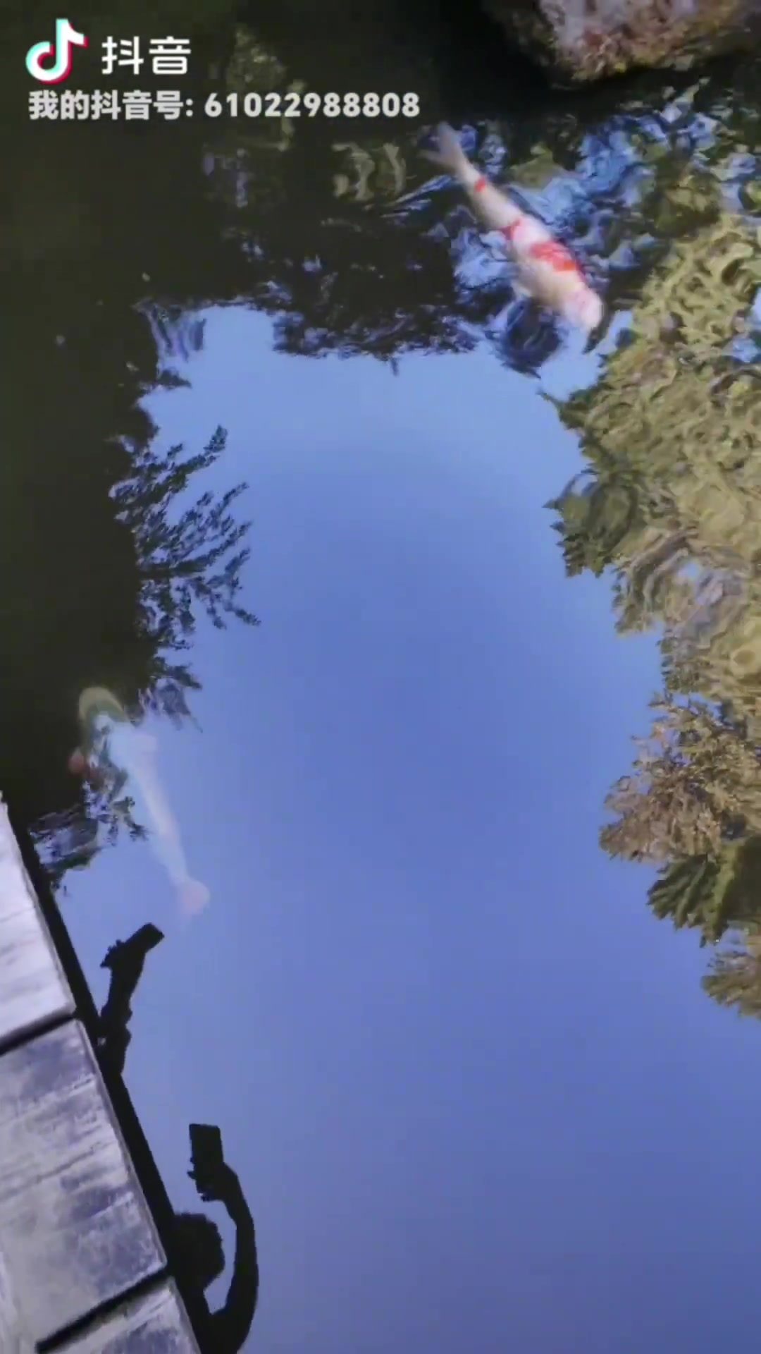 杨瀚森妈妈回应球迷我照相从来不笑就这习惯