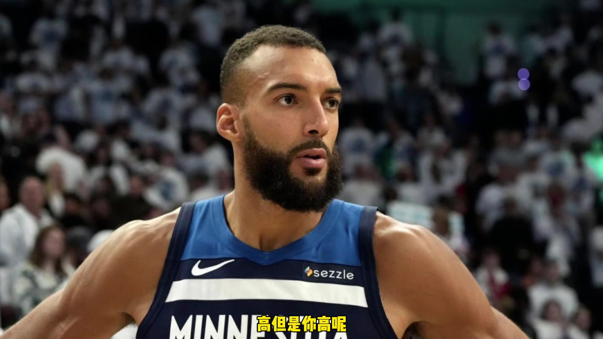 杨毅姚明就喜欢打戈贝尔艾顿这样的你没我高更没我重