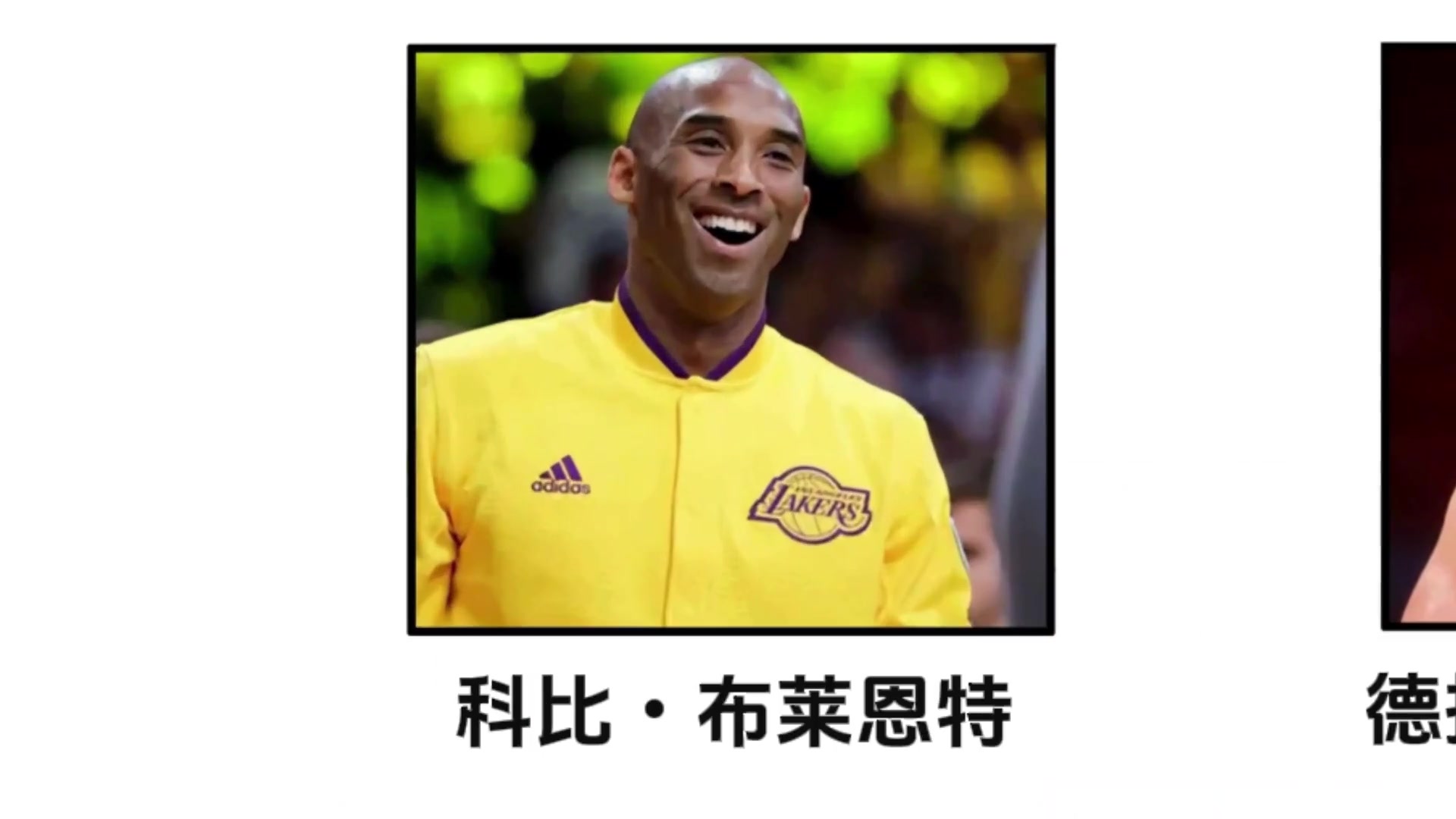 安息有史以来严重的篮球运动员死亡事故科比彼得洛维奇