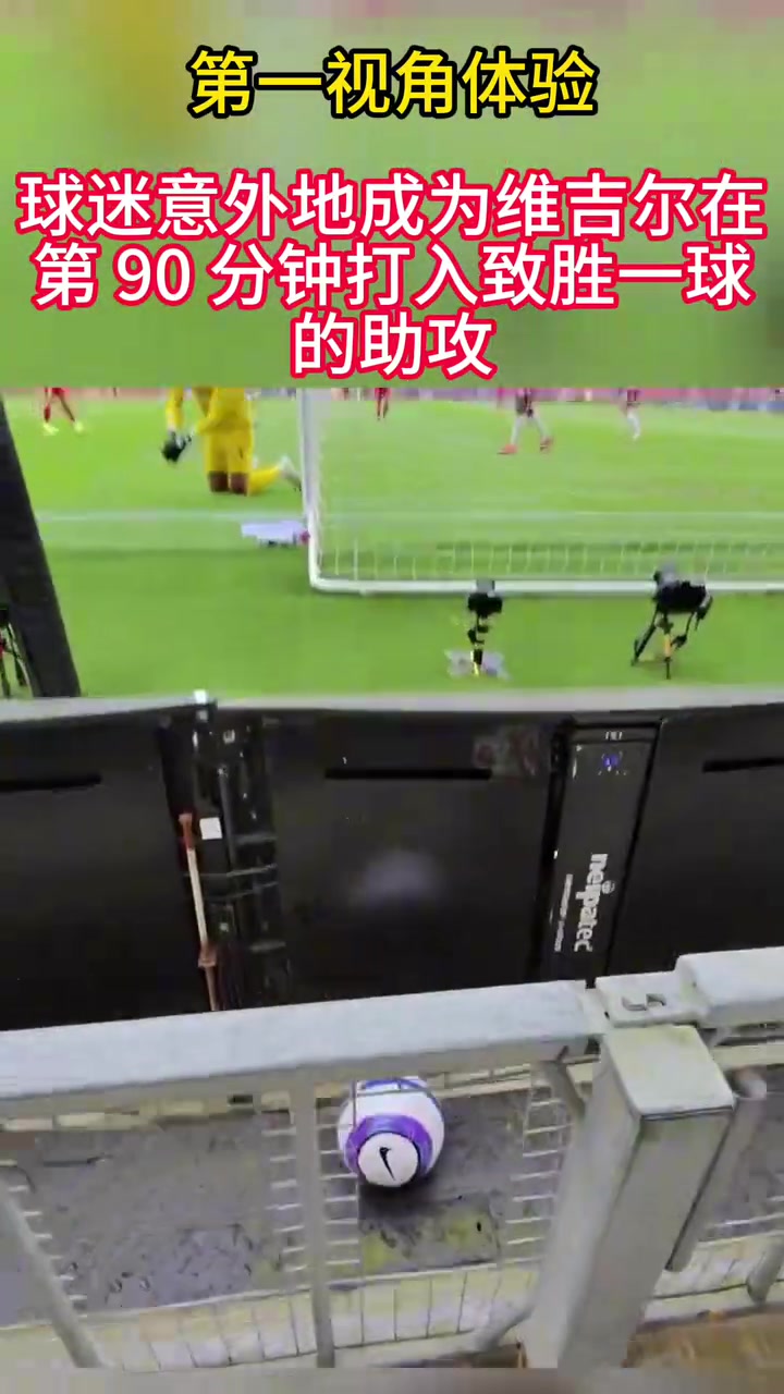 倒数第二传这位球迷意外地成为范迪克打进头球的参与者