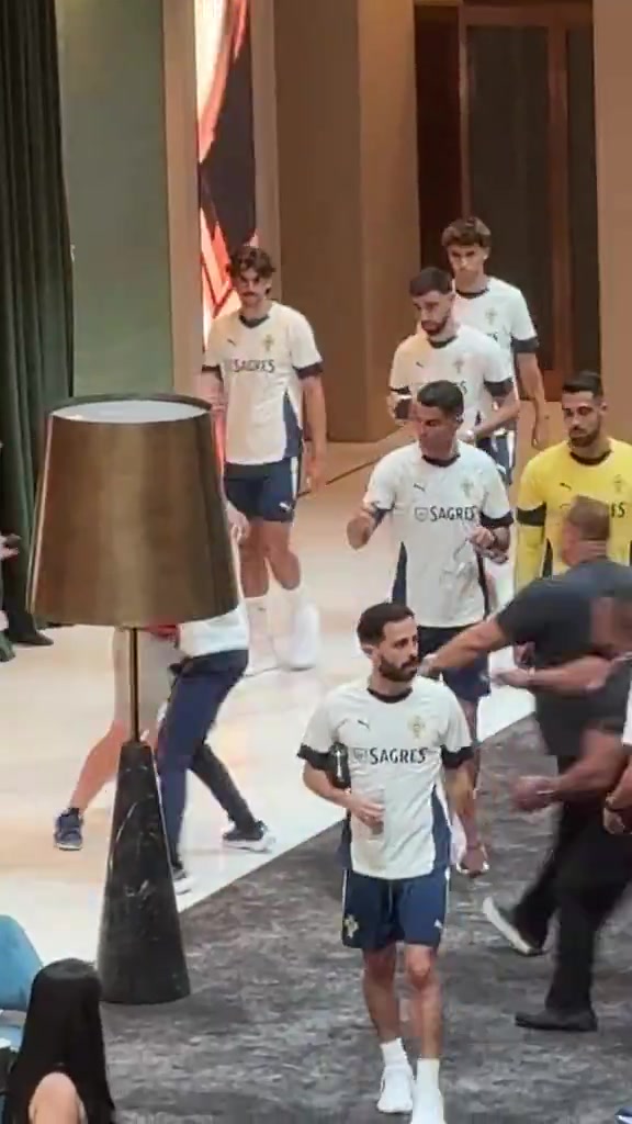 吓了一跳球迷突然上前拍照被C罗一把推开