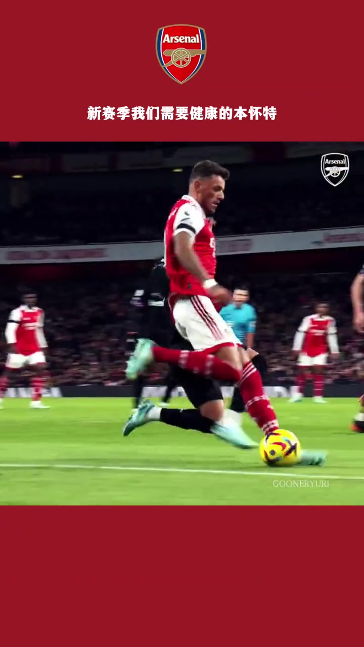 阿森纳球迷新赛季我们需要健康的本怀特