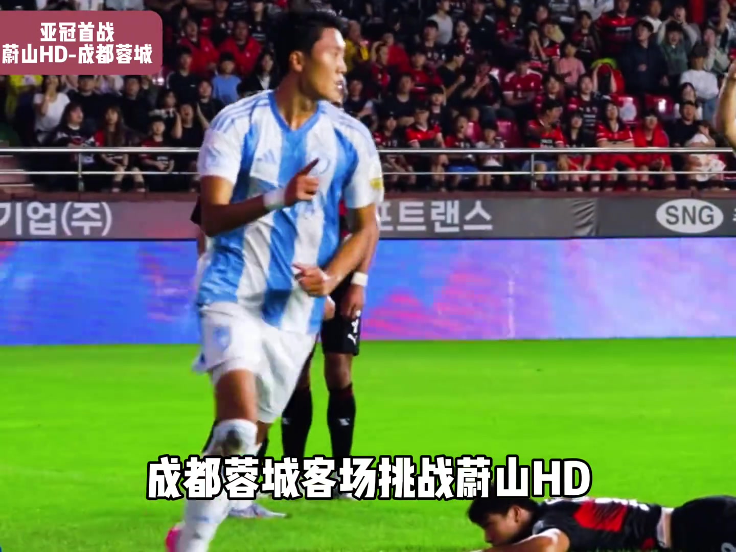 亚冠首战重磅来袭蔚山HDvs成都蓉城究竟谁能取得开门红