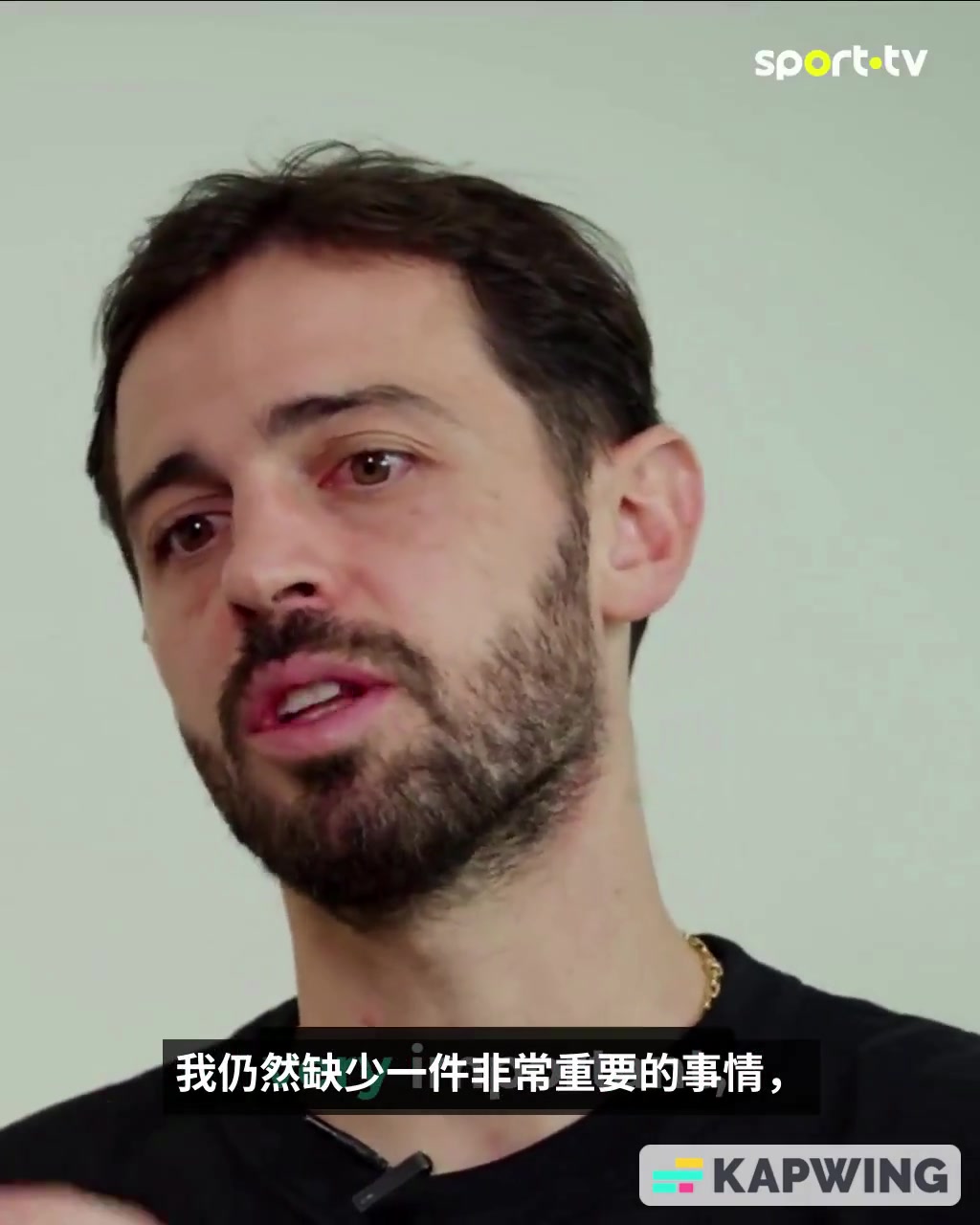 B席我已经没啥可追求的了但我的梦想是夺得世界杯冠军