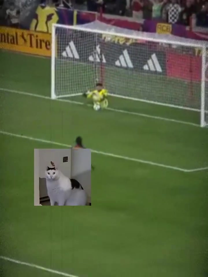 吉星高照洛里我不擅长扑点除非球自己到我手上